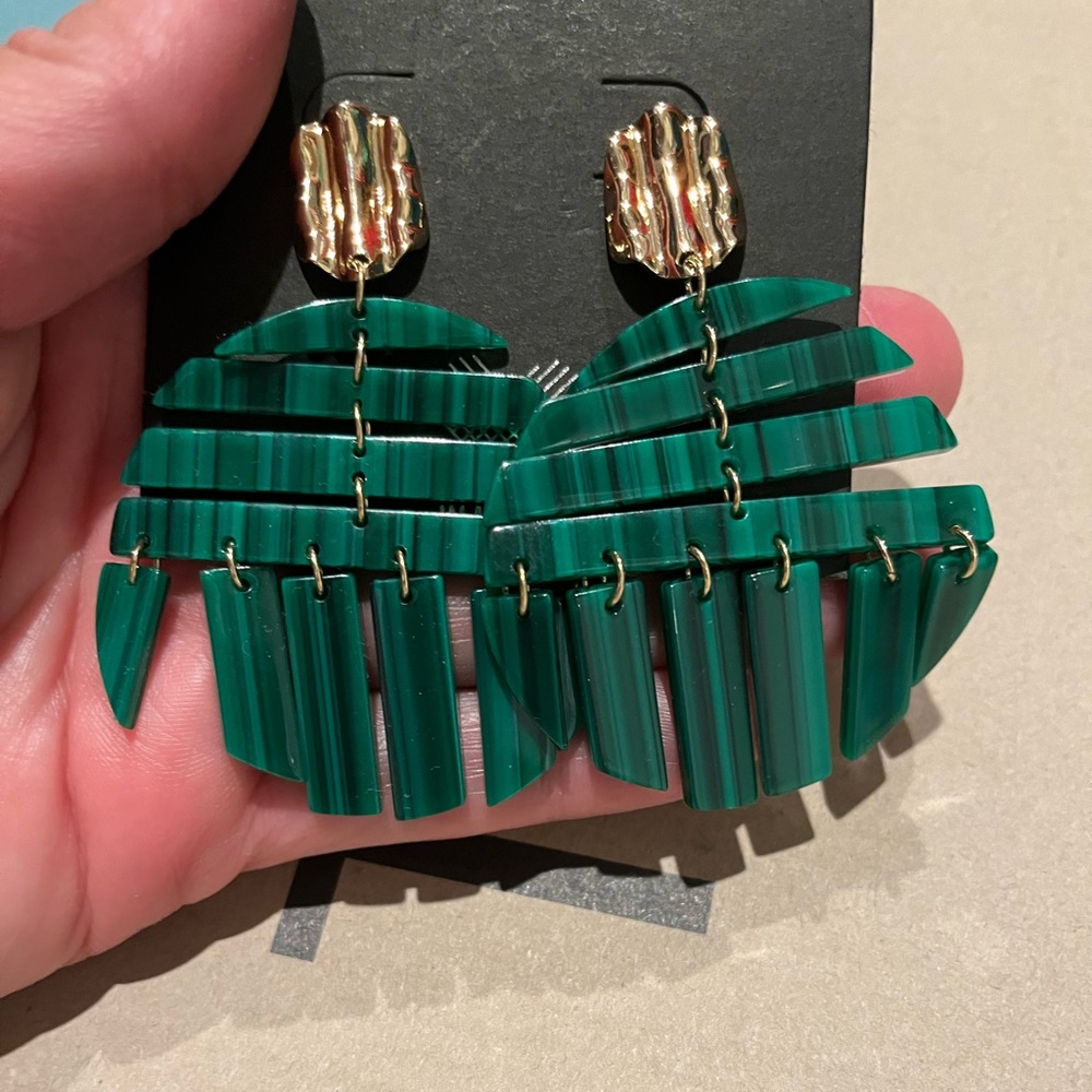 Earrings NWT
